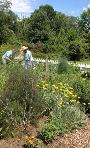 Hancock's Resolution Garden